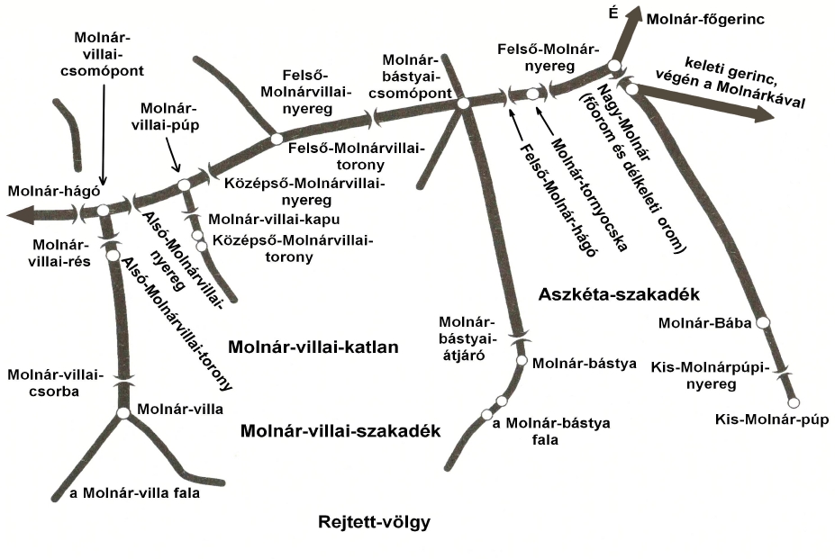 Molnr-tmb dny. rsz